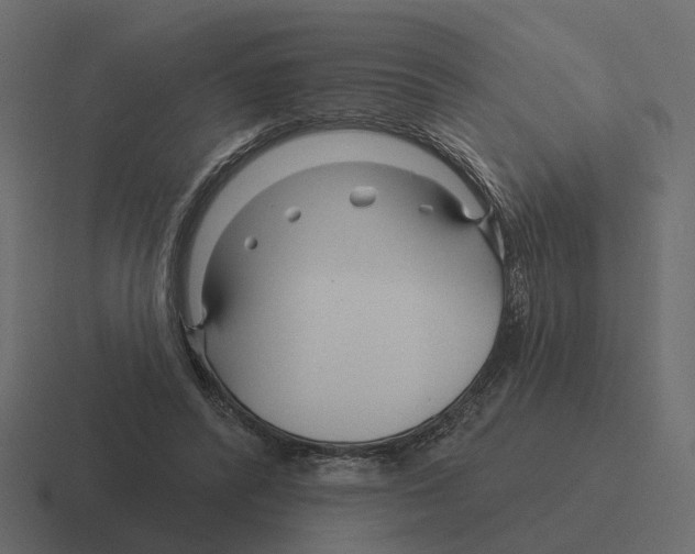 X0000116340400200912291616