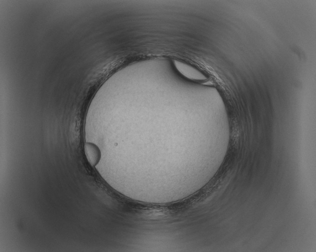 X0000116340402200912291616