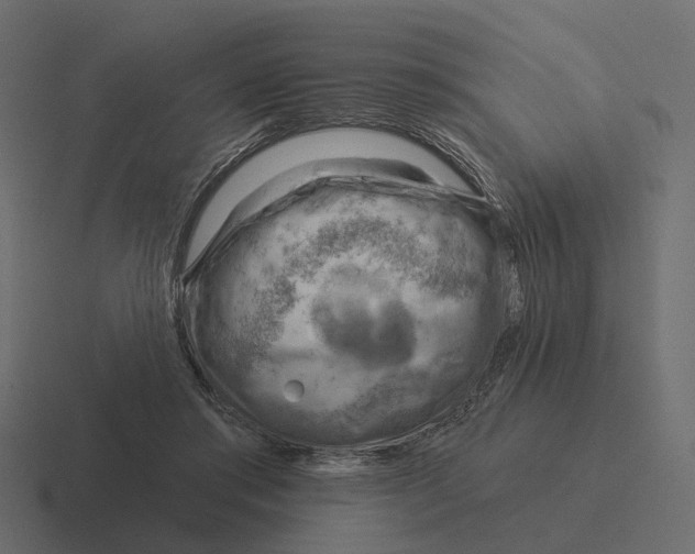 X0000116340405200912291616