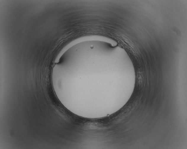 X0000116340408200912291616