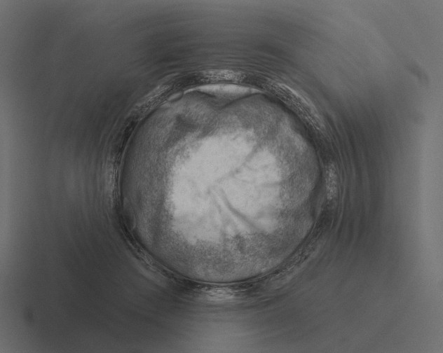 X0000116340409200912291616