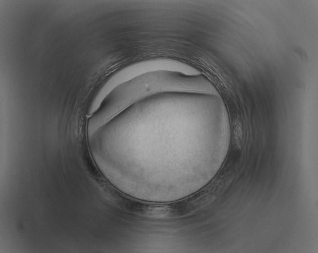 X0000116340410200912291616