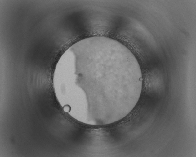 X0000116340411200912291616