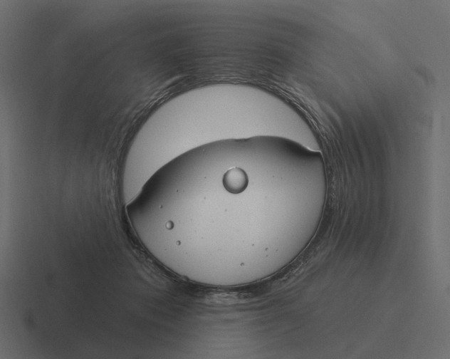 X0000116340413200912291616