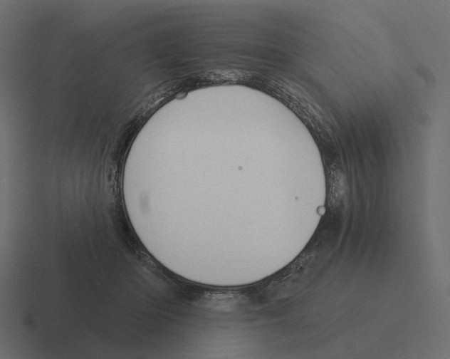 X0000116340414200912291616