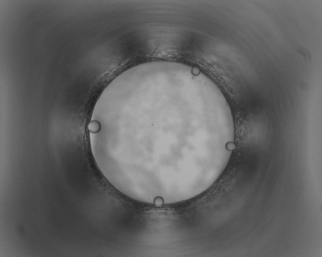 X0000116340415200912291616