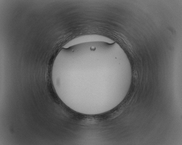 X0000116340416200912291616