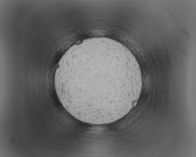 X0000116340418200912291616