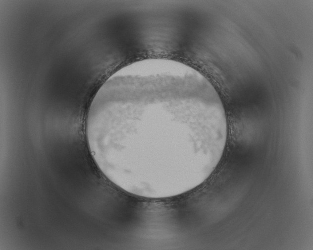 X0000116340419200912291616