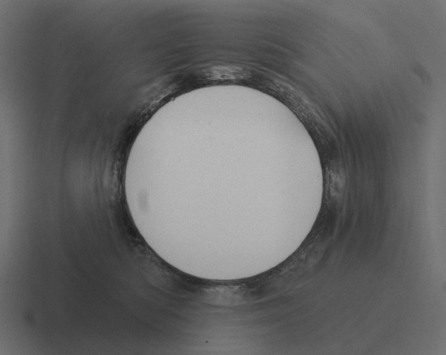 X0000116340422200912291616