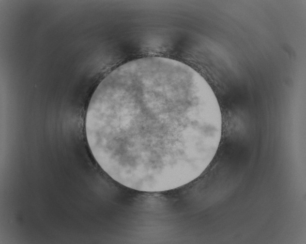 X0000116340427200912291616