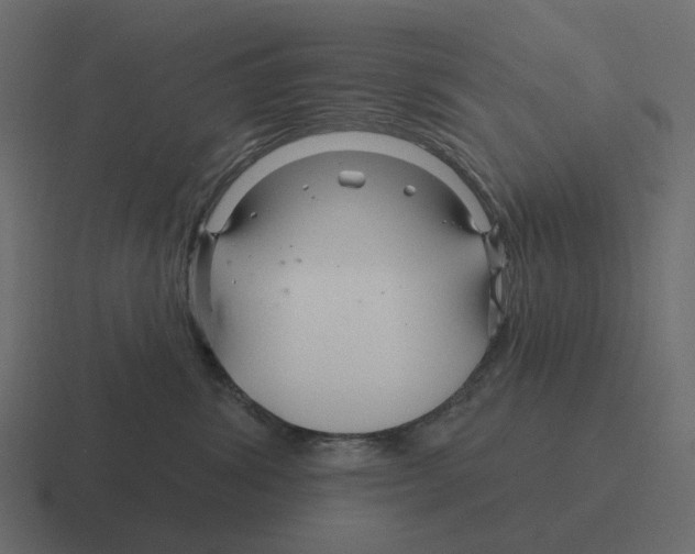 X0000116340428200912291616