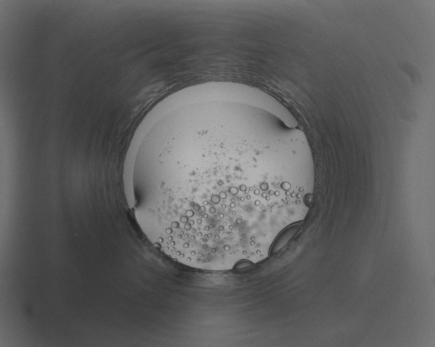 X0000116340432200912291616