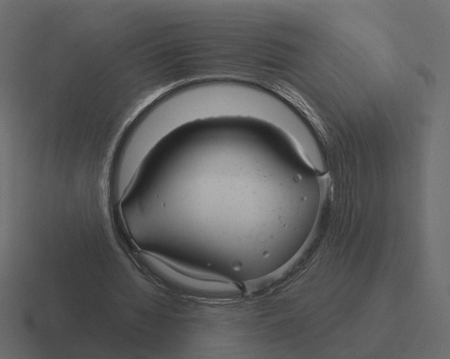 X0000116340436200912291615