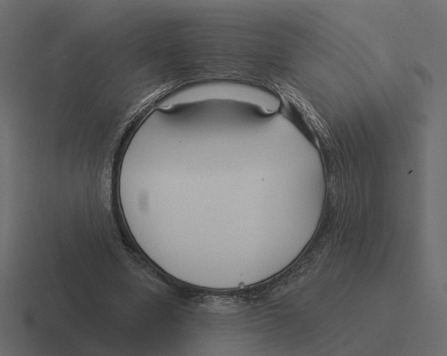 X0000116340442200912291615