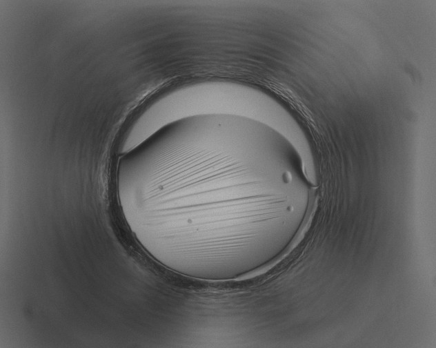 X0000116340444200912291615