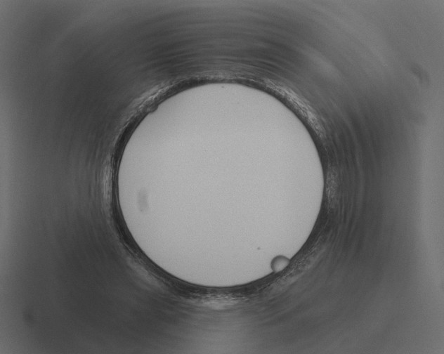 X0000116340445200912291615