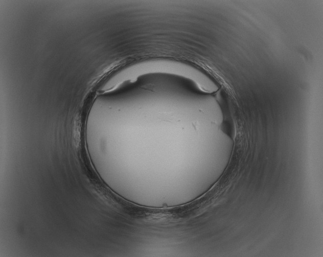 X0000116340446200912291615