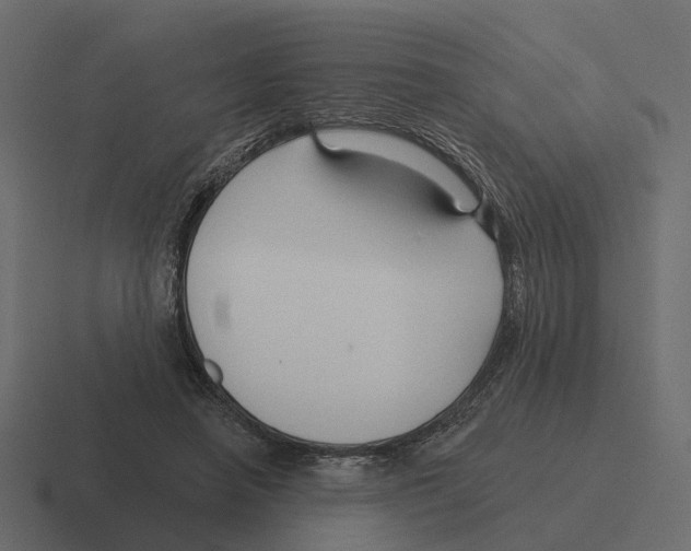 X0000116340450200912291615