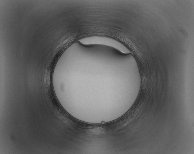 X0000116340454200912291615