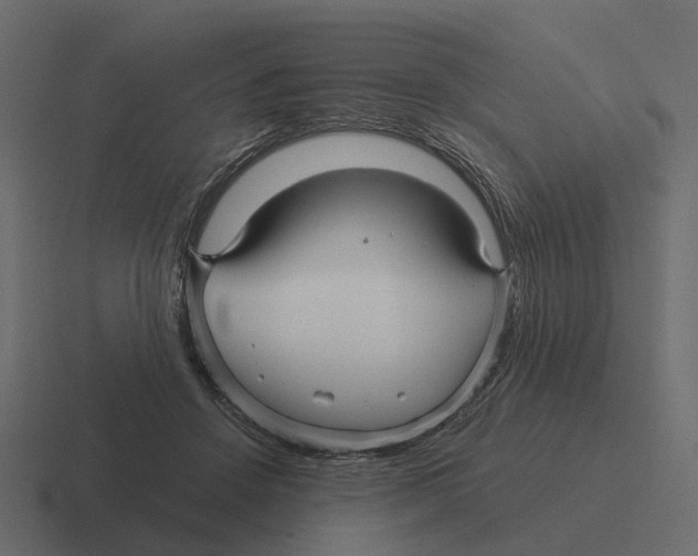 X0000116340456200912291615