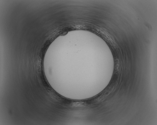 X0000116340461200912291615