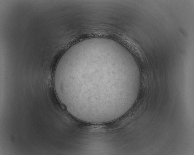 X0000116340465200912291615