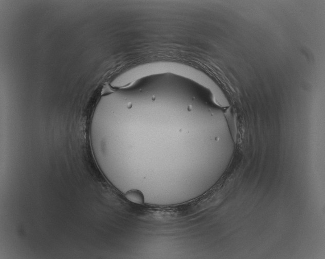 X0000116340466200912291615