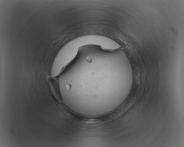 X0000116340467200912291615