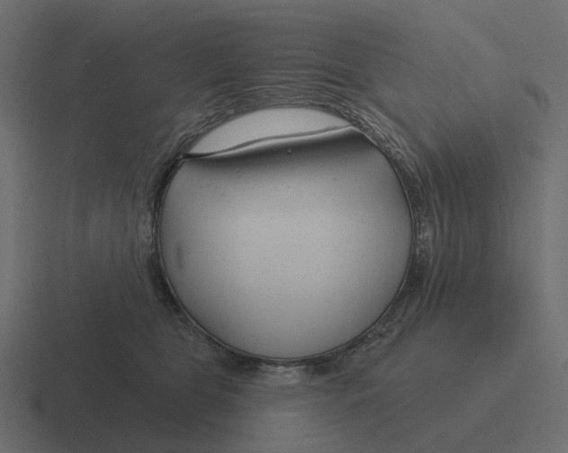 X0000116340469200912291615