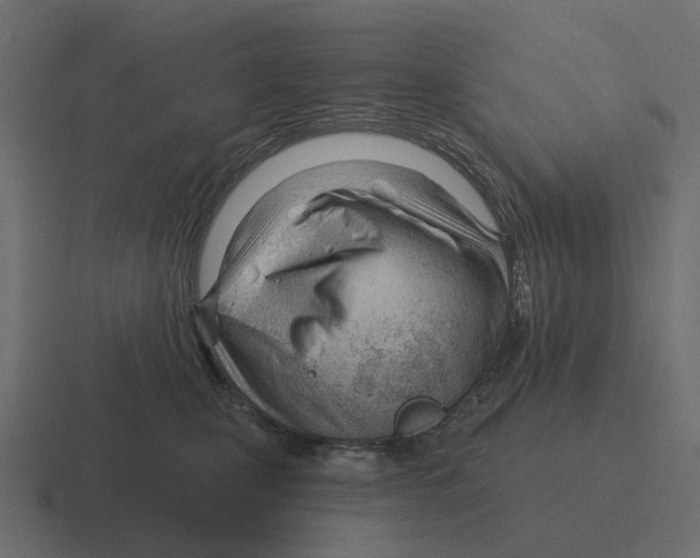 X0000116340471200912291615