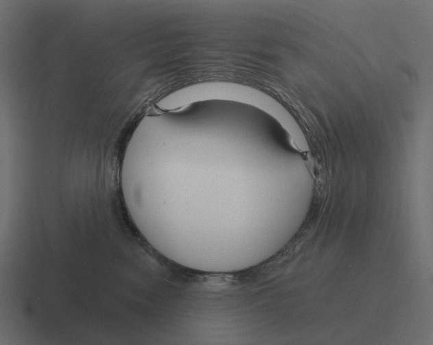 X0000116340474200912291615