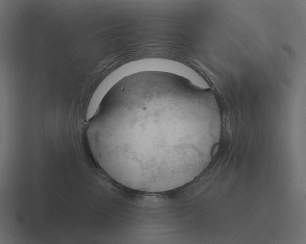 X0000116340475200912291615