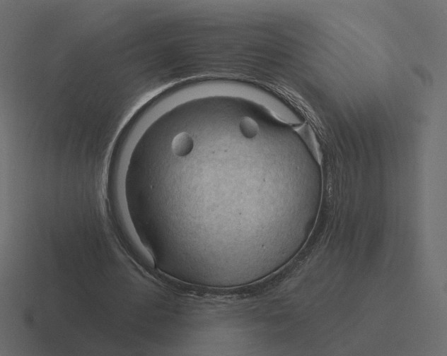 X0000116340484200912291615