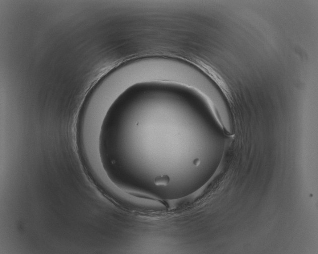 X0000116340485200912291615