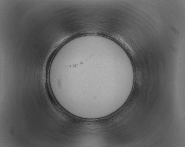 X0000116340486200912291615