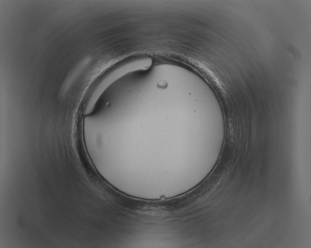 X0000116340487200912291615