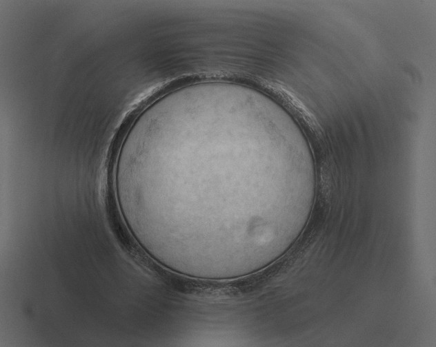 X0000116340488200912291615