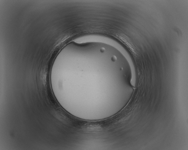 X0000116340491200912291615