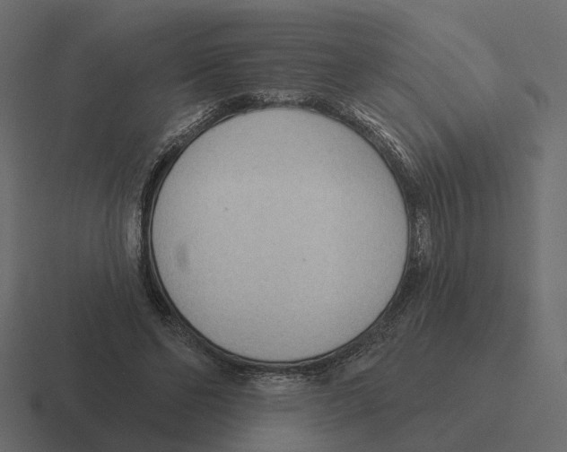 X0000116340494200912291615