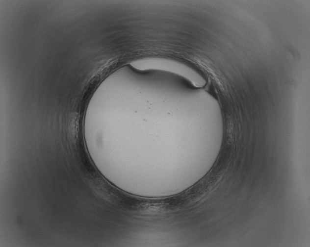 X0000116340495200912291615