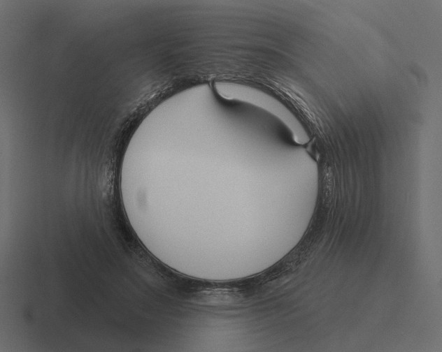 X0000116340499200912291615