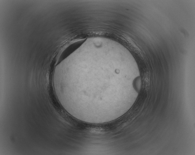 X0000116340500200912291615