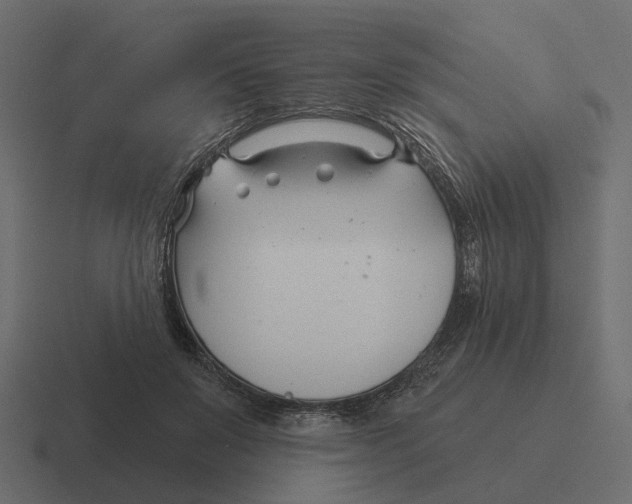 X0000116340503200912291615