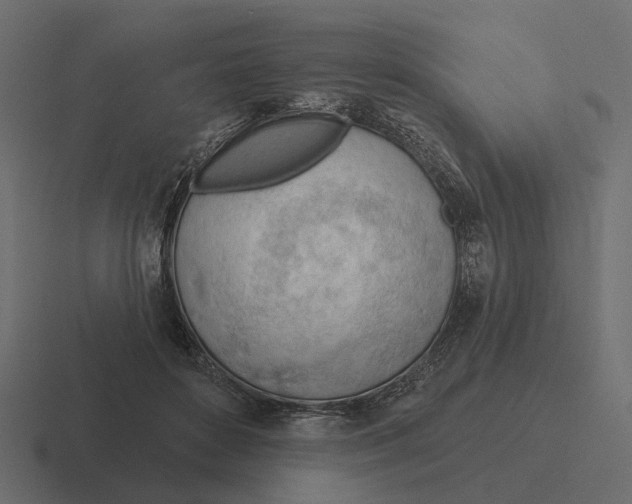 X0000116340504200912291615