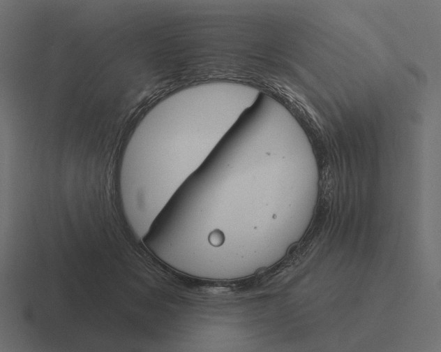 X0000116340509200912291615