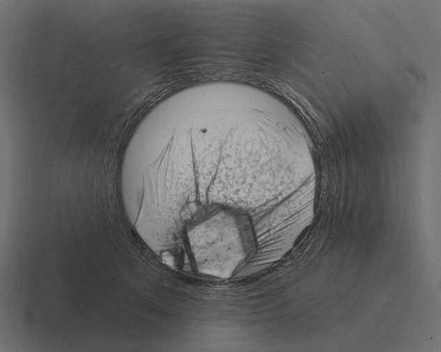 X0000116340513200912291615