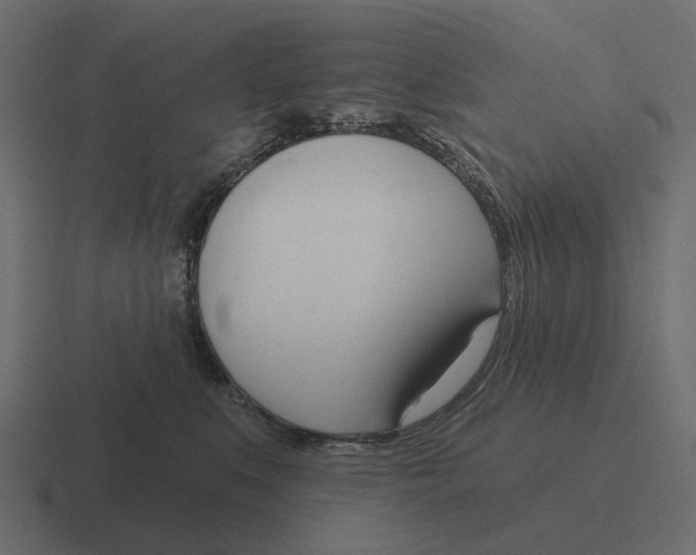 X0000116340519200912291614