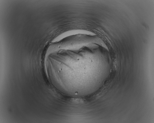 X0000116340520200912291614