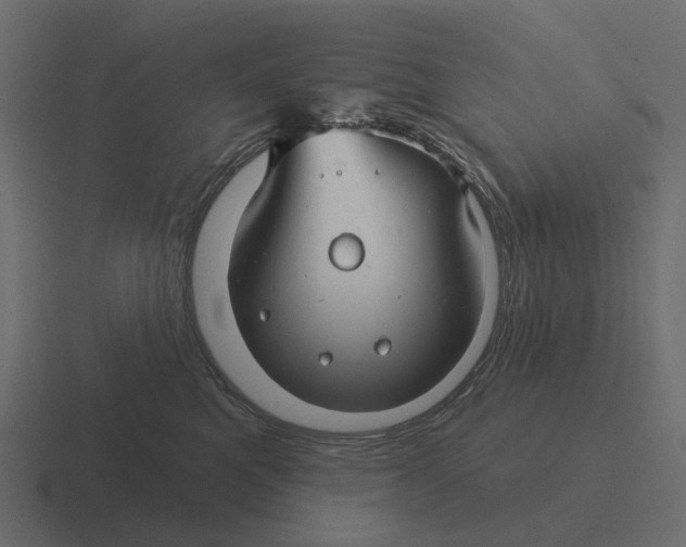 X0000116340521200912291614